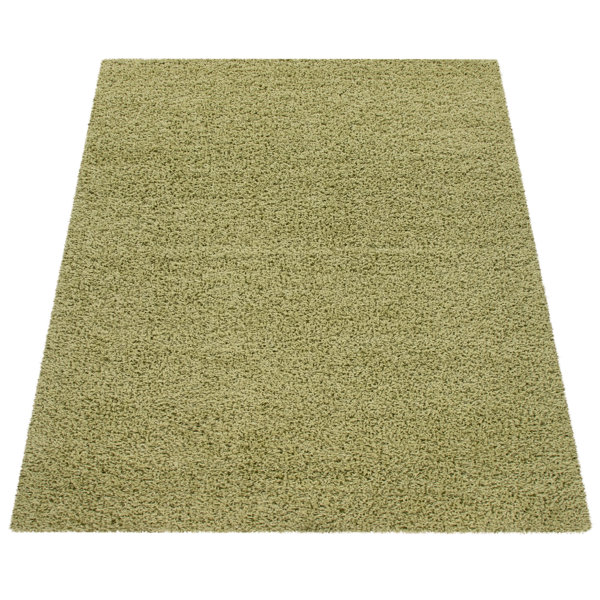 Ebern Designs Greensboro Shag Green Area Rug & Reviews Wayfair